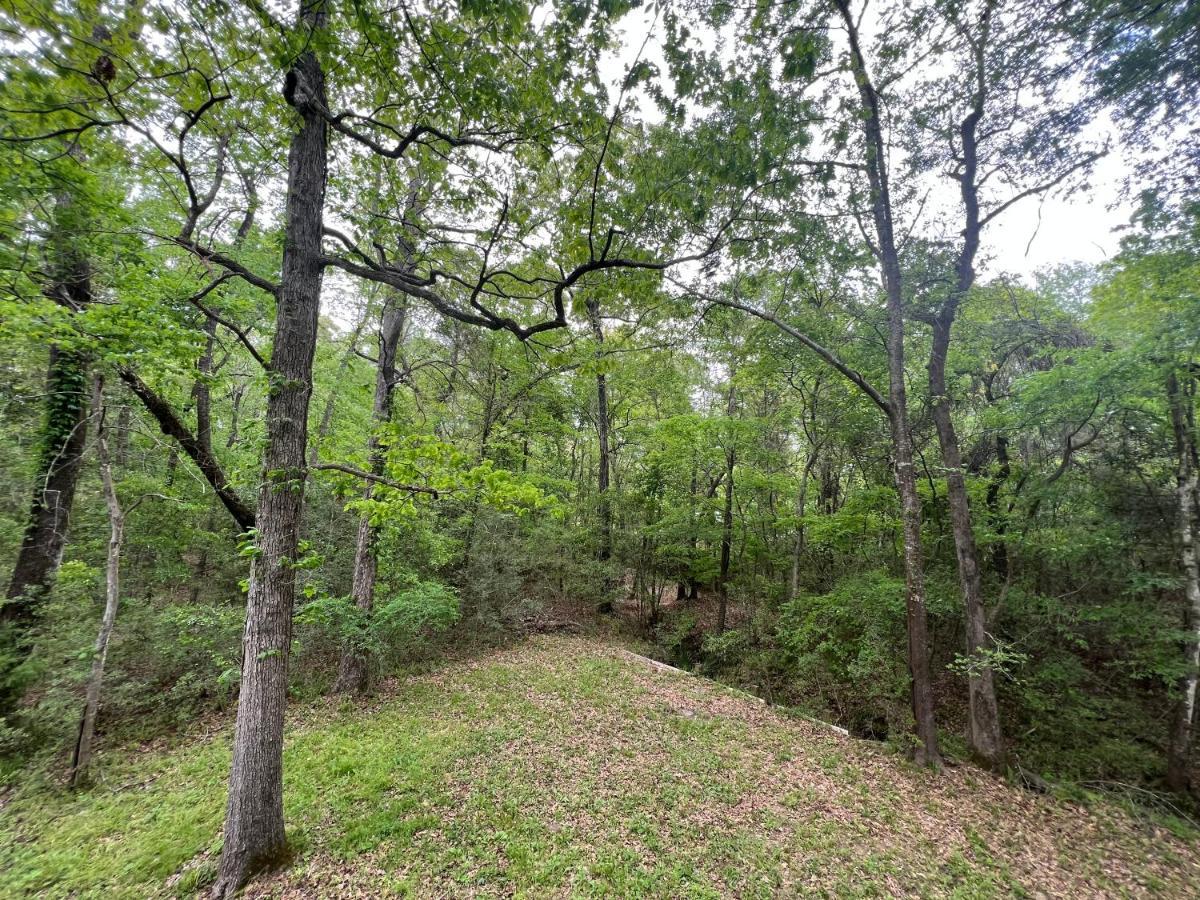 2 Bdrm Treehouse Hideout- Lake Conroe With Boat Ramp Montgomery Exteriér fotografie