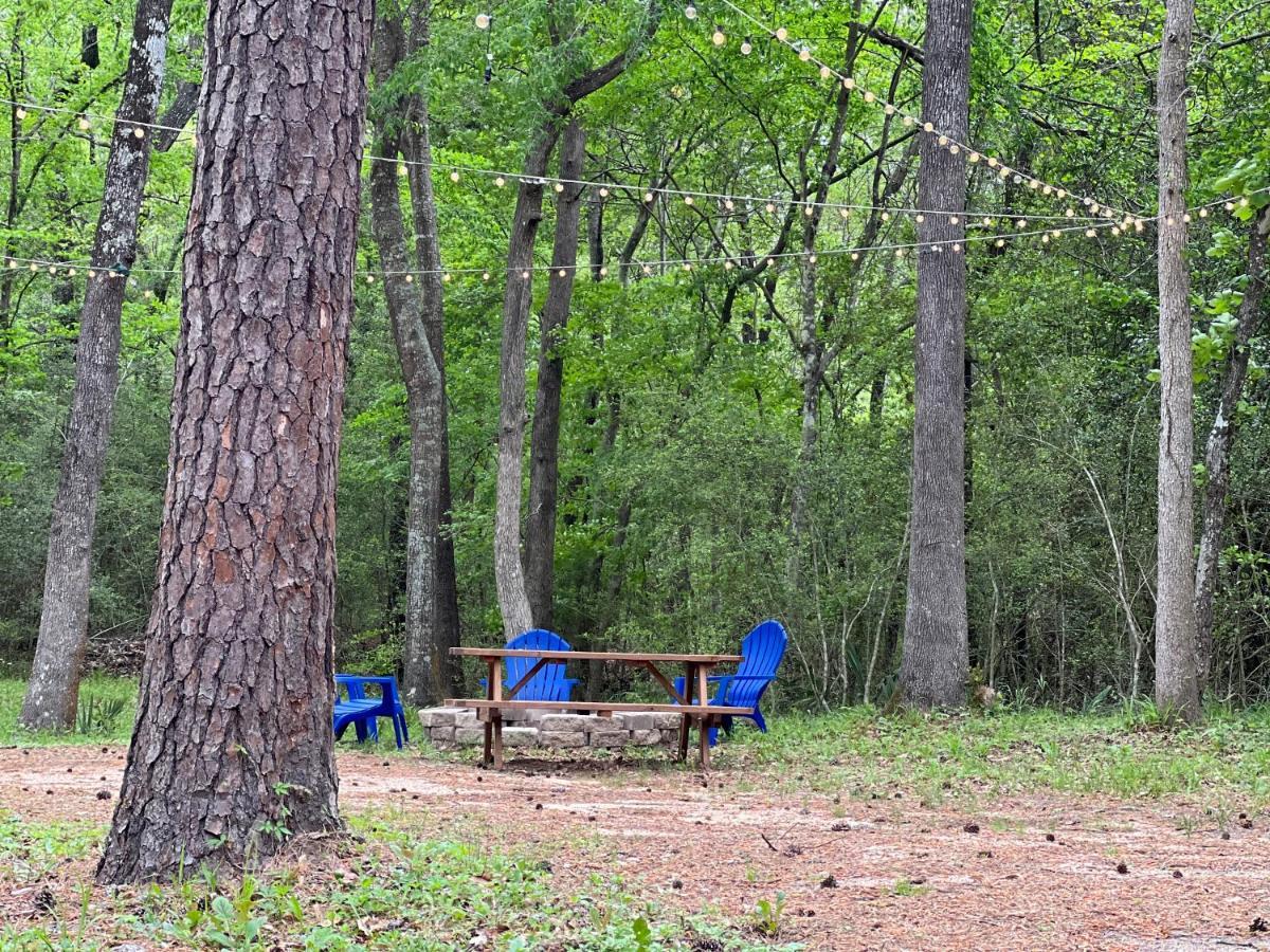 2 Bdrm Treehouse Hideout- Lake Conroe With Boat Ramp Montgomery Exteriér fotografie
